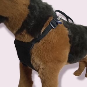 Top Paw No Pull Dog Harness Sz Medium